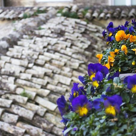 Willa Le Violette Matera Zewnętrze zdjęcie
