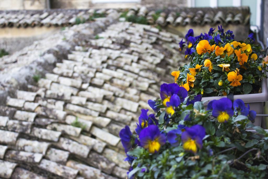 Willa Le Violette Matera Zewnętrze zdjęcie